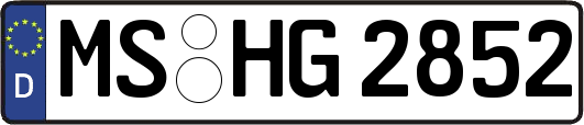 MS-HG2852