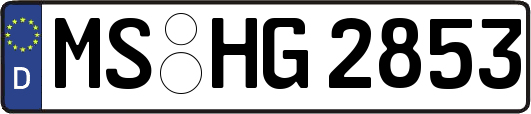 MS-HG2853