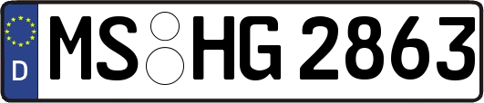 MS-HG2863