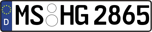 MS-HG2865