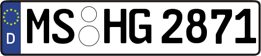 MS-HG2871
