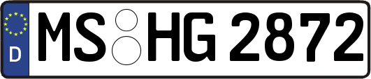 MS-HG2872