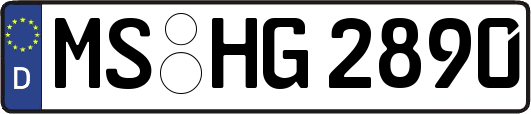 MS-HG2890