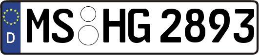 MS-HG2893