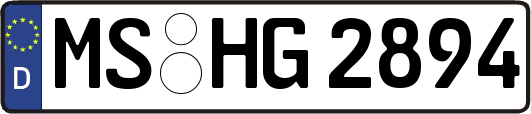 MS-HG2894