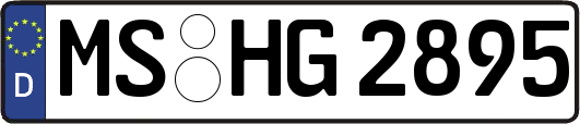 MS-HG2895