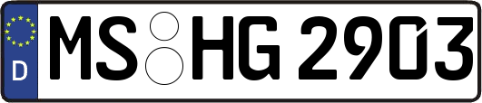 MS-HG2903