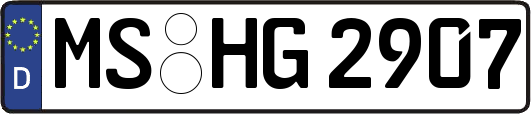 MS-HG2907