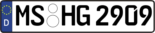 MS-HG2909