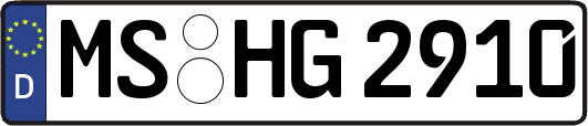 MS-HG2910