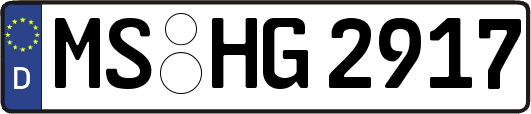 MS-HG2917