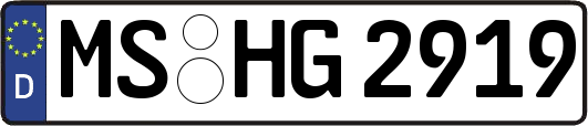 MS-HG2919