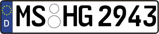 MS-HG2943