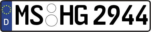 MS-HG2944