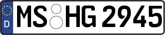 MS-HG2945
