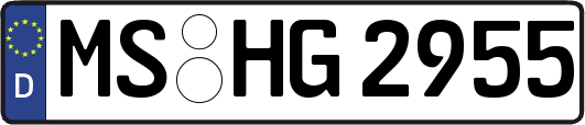 MS-HG2955