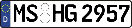 MS-HG2957
