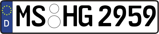 MS-HG2959