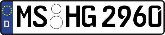 MS-HG2960
