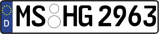 MS-HG2963