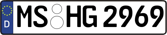 MS-HG2969