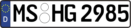 MS-HG2985