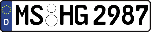 MS-HG2987