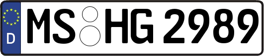 MS-HG2989