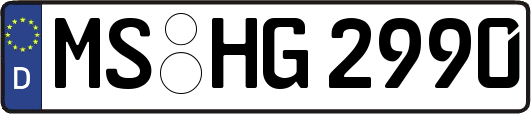 MS-HG2990