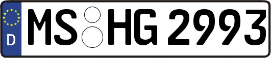 MS-HG2993