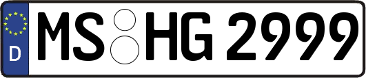 MS-HG2999