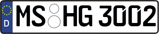 MS-HG3002
