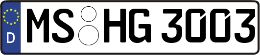 MS-HG3003