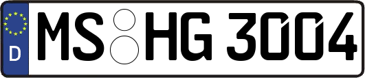 MS-HG3004