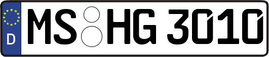 MS-HG3010