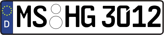 MS-HG3012