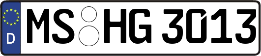 MS-HG3013