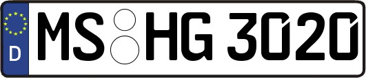 MS-HG3020
