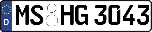 MS-HG3043