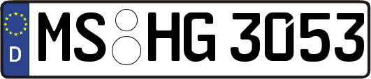 MS-HG3053
