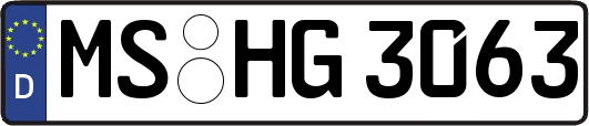 MS-HG3063