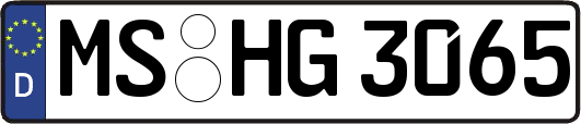 MS-HG3065