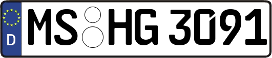 MS-HG3091