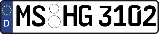 MS-HG3102