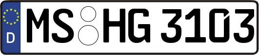MS-HG3103