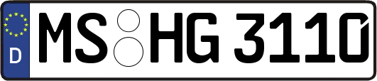 MS-HG3110