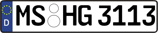 MS-HG3113