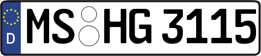 MS-HG3115