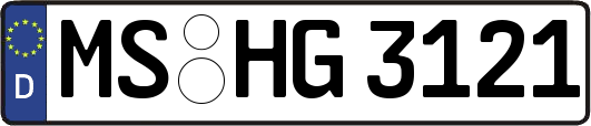 MS-HG3121