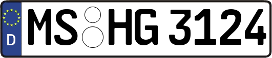 MS-HG3124